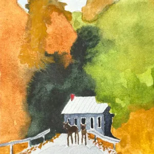 Picture