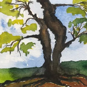 Picture